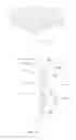 Fig. 09 - DECORATIVE ACCESSORY FOR A MOBILE DEVICE