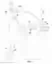 Fig. 02 - Illuminated handbag assembly