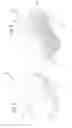 Fig. 04 - SCRUBRUSH