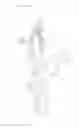 Fig. 03 - Aid for donning a sock