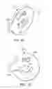 Fig. 09 - PUSH TO SEAR VALVE FOR A GAS GRILL