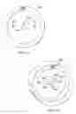 Fig. 12 - PUSH TO SEAR VALVE FOR A GAS GRILL
