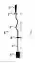 Fig. 03 - Methods and systems for intra-operatively providing anatomical guidance in surgery