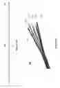 Fig. 03 - Device for interacting with neurological tissue and methods of making and using the same