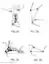 Fig. 03 - System for three-dimensional measurement of foot alignment