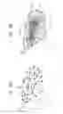 Fig. 05 - Dynamic mapping point filtering using a pre-acquired image