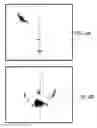 Fig. 07 - Image reconstruction for a volume based on projection data sets
