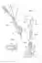 Fig. 02 - Intervertebral prosthesis placement instrument
