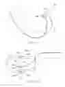Fig. 42 - Suturing needles