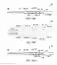 Fig. 19 - Clot retrieval system