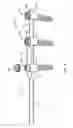 Fig. 09 - Spinal rod implant extension
