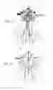 Fig. 25 - Method and apparatus for performing spinal surgery