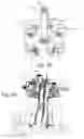 Fig. 26 - Method and apparatus for performing spinal surgery