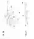 Fig. 03 - Patella fracture reduction plates