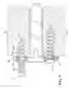 Fig. 07 - Pedicle screw with raised root