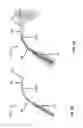 Fig. 08 - CATHETER DEVICE INCLUDING FLOW SENSING