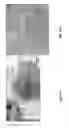Fig. 18 - CATHETER DEVICE INCLUDING FLOW SENSING