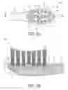 Fig. 03 - Brush head arrangements