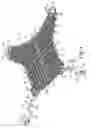 Fig. 02 - Pelvic implant and treatment method