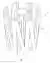 Fig. 03 - BIODEGRADABLE VASCULAR FILTER