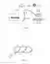 Fig. 02 - CAST-FORMING KITS CONTAINING A LIGHTING SYSTEM AND METHODS OF MAKING AND USING THE SAME