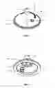 Fig. 02 - Mason Baby Bottle Lid