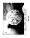 Fig. 11 - Enteral feeding device and related methods of use