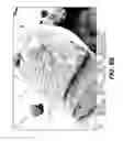 Fig. 12 - Enteral feeding device and related methods of use