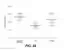 Fig. 43 - Enteral feeding device and related methods of use