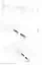 Fig. 08 - Nasal bridle insertion device