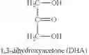 Fig. 11 - UV FILTER CAPSULE