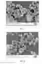 Fig. 05 - High Cleaning Silica With Low Abrasion And Method Of Making Same