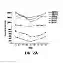 Fig. 04 - Homogenization system of drugs into biodegradable polymer: smart polymer system