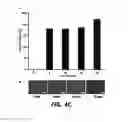 Fig. 14 - Homogenization system of drugs into biodegradable polymer: smart polymer system