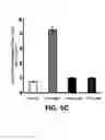 Fig. 17 - Homogenization system of drugs into biodegradable polymer: smart polymer system