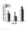 Fig. 18 - Homogenization system of drugs into biodegradable polymer: smart polymer system