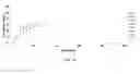 Fig. 07 - Intraocular drug delivery device and associated methods