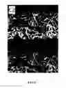 Fig. 05 - Dressing for promotion of wound healing