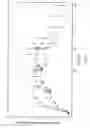 Fig. 05 - ONCE-A-DAY REPLACEMENT TRANSDERMAL ADMINISTRATION OF FENTANYL
