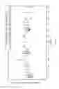 Fig. 13 - ONCE-A-DAY REPLACEMENT TRANSDERMAL ADMINISTRATION OF FENTANYL