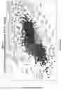 Fig. 02 - Methods of treating or preventing fibrotic lung diseases