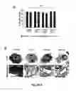 Fig. 06 - Small molecules that induce intrinsic pathway apoptosis