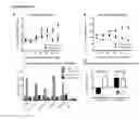 Fig. 05 - METHODS AND COMPOSITIONS FOR THE MODULATION OF BETA-ENDORPHIN LEVELS