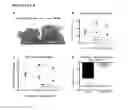 Fig. 06 - METHODS AND COMPOSITIONS FOR THE MODULATION OF BETA-ENDORPHIN LEVELS