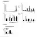 Fig. 07 - METHODS AND COMPOSITIONS FOR THE MODULATION OF BETA-ENDORPHIN LEVELS