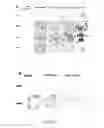 Fig. 06 - METHODS AND COMPOUNDS FOR THE TREATMENT OF BONE LOSS AND/OR PAIN