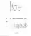 Fig. 07 - METHODS AND COMPOUNDS FOR THE TREATMENT OF BONE LOSS AND/OR PAIN