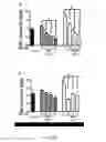 Fig. 09 - METHODS AND COMPOUNDS FOR THE TREATMENT OF BONE LOSS AND/OR PAIN