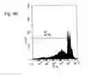 Fig. 16 - THERAPEUTIC COMPOSITIONS CONTAINING HARMINE AND ISOVANILLIN COMPONENTS, AND METHODS OF USE THEREOF