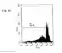 Fig. 16 - THERAPEUTIC COMPOSITIONS CONTAINING HARMINE AND ISOVANILLIN COMPONENTS, AND METHODS OF USE THEREOF